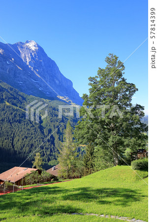 スイス、グリンデルワルトの風景 57814399