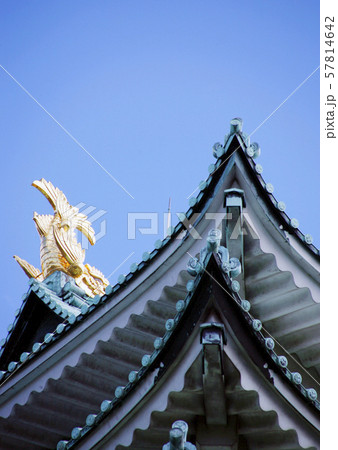 名古屋城の金のしゃちほこ 名古屋城の金のしゃちほこ 57814642