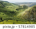 Green Hills with Blooming Wild Flowers and Rural 57814985