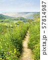 Rural Path among Green Hills and Blooming Wild 57814987
