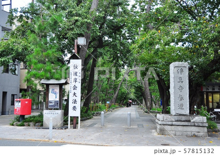 世田谷区 九品仏浄真寺の参道 世田谷区 九品仏浄真寺の参道 57815132
