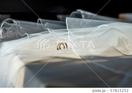 Wedding rings on the bridal veil 57815252