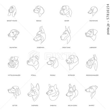 Breeds of dogs drawn in minimal style set. One line dogs. Vector illustration. 57816154