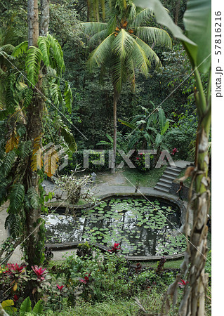 ゴア・ガジャにある庭 57816216