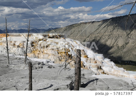 yellowstone national park the nature 57817397