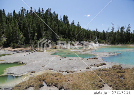 yellowstone national park the nature 57817512