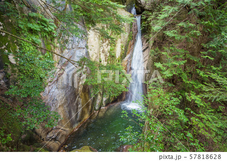 竜頭の滝・寂地峡・岩国・山口 57818628
