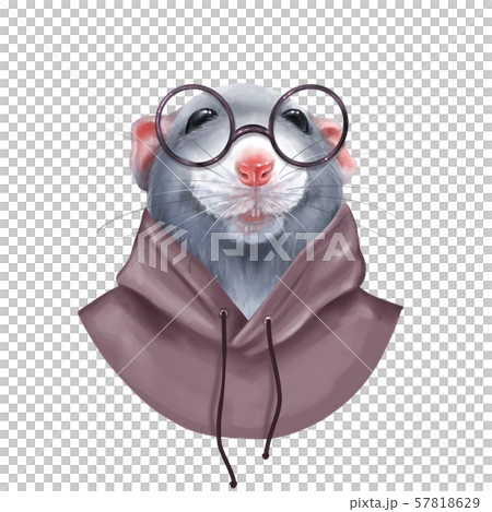 Cute rat isolated on white background 57818629