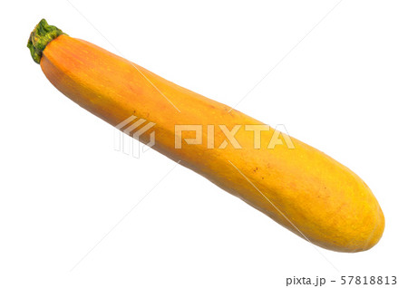 Golden zucchini close-up 3d rendering 57818813
