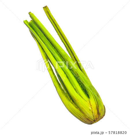 Celery close-up 3d rendering Celery close-up 3d rendering 57818820