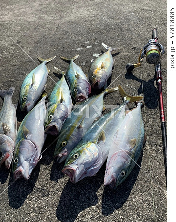 Tubasu fishing with light shore jigging lure  57818885