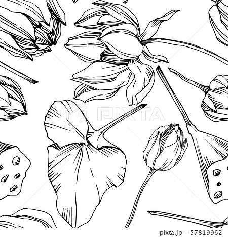 Vector Lotus floral botanical flower. Black and white engraved ink art. Seamless background pattern. Vector Lotus floral botanical flower. Black and white engraved ink art. Seamless background pattern. 57819962