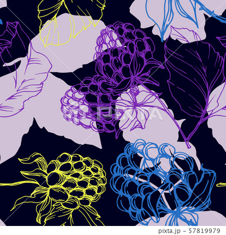 Vector Blackberry healthy food. Black and white engraved ink art. Seamless background pattern. 57819979