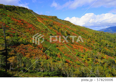 9月　上川町17赤岳銀泉台の紅葉 57820006