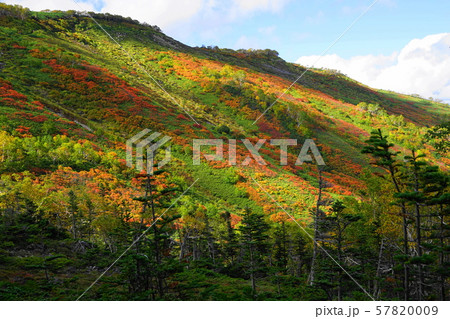 9月　上川町14赤岳銀泉台の紅葉 57820009
