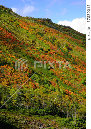 9月　上川町08赤岳銀泉台の紅葉 57820015