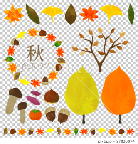 秋天的材料 秋天的材料 57820074