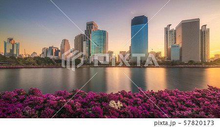 Lake with Purple Flowers in City Park under 57820173