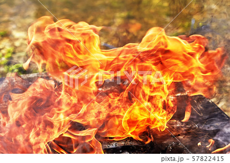 Flames of forest fire destroy property at campsite 57822415