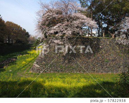 名古屋城点景 名古屋城点景 57822938