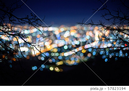 tree branch silhouette in Blurred focus of 57823194