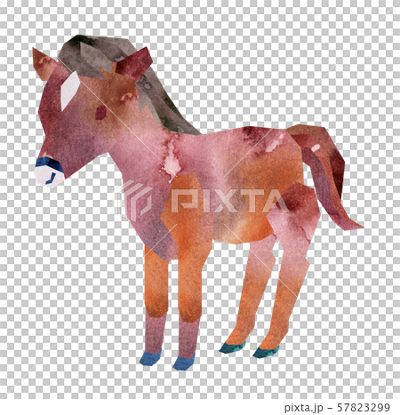 Horse 57823299
