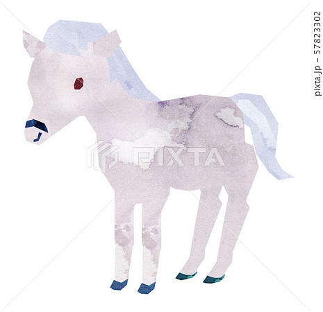 白馬 立つのイラスト素材