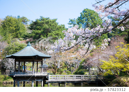 成田山公園 浮御堂 桜 春 千葉県成田市 19年4月の写真素材