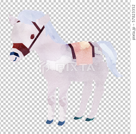 白馬・馬具・立つ 白馬・馬具・立つ 57823352