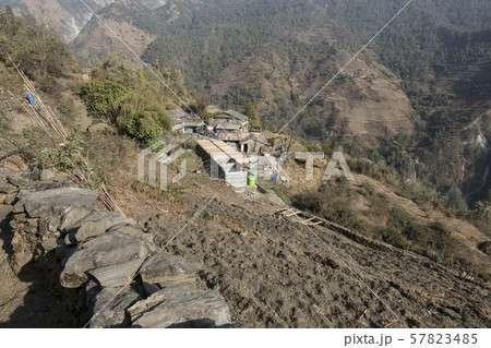 断崖 森 森林 57823485