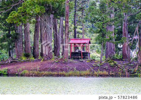 お松の池と弁天社 57823486