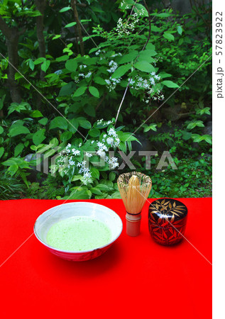 ウツギの野点 57823922