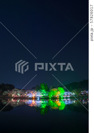 八鶴湖 夜桜ライトアップ (千葉県東金市) ※2018年春 八鶴湖 夜桜ライトアップ (千葉県東金市) ※2018年春 57826017