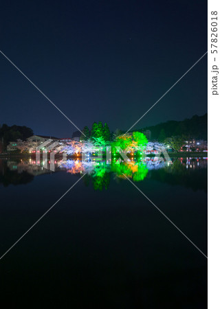 八鶴湖 夜桜ライトアップ (千葉県東金市) ※2018年春 八鶴湖 夜桜ライトアップ (千葉県東金市) ※2018年春 57826018