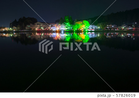 八鶴湖 夜桜ライトアップ (千葉県東金市) ※2018年春 八鶴湖 夜桜ライトアップ (千葉県東金市) ※2018年春 57826019