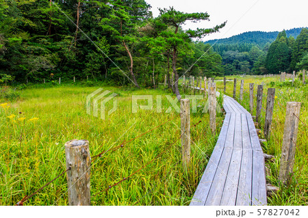 樫原湿原　【佐賀県唐津市】 57827042