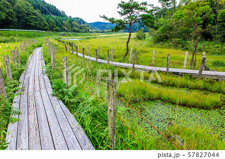 樫原湿原 【佐賀県唐津市】 樫原湿原 【佐賀県唐津市】 57827044