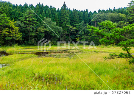 樫原湿原　【佐賀県唐津市】 57827062