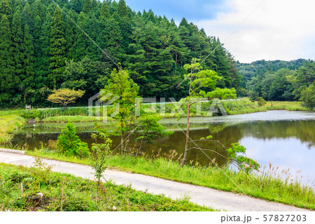樫原湿原(溜池) 【佐賀県唐津市】 樫原湿原(溜池) 【佐賀県唐津市】 57827203