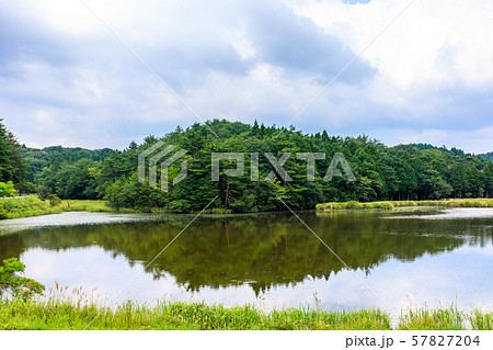 樫原湿原(溜池) 【佐賀県唐津市】 樫原湿原(溜池) 【佐賀県唐津市】 57827204