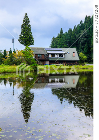 樫原湿原（溜池）　【佐賀県唐津市】 57827209
