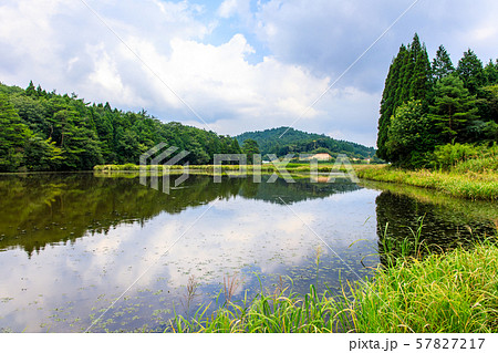 樫原湿原（溜池）　【佐賀県唐津市】 57827217