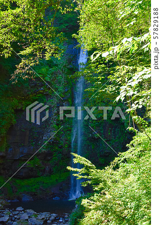 阿弥陀ケ滝　東海一の名瀑 57829188