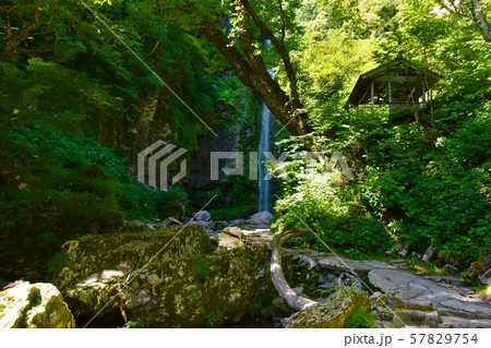 阿弥陀ケ滝 57829754