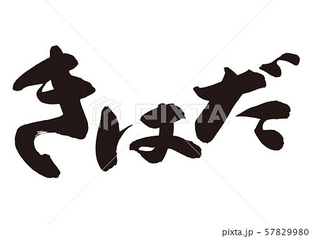 きはだ　筆文字　 57829980