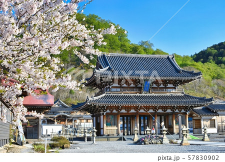 恐山　桜 57830902