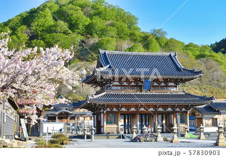 恐山　桜 57830903