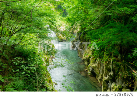 長田峡 長田峡 57830976