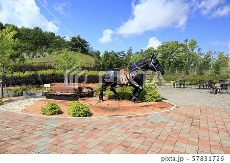 岩見沢サービスエリア 北海道岩見沢市 岩見沢サービスエリア 北海道岩見沢市 57831726