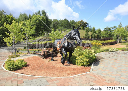 岩見沢サービスエリア 北海道岩見沢市 岩見沢サービスエリア 北海道岩見沢市 57831728